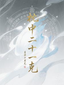 枕中二十一克枕中二十一克